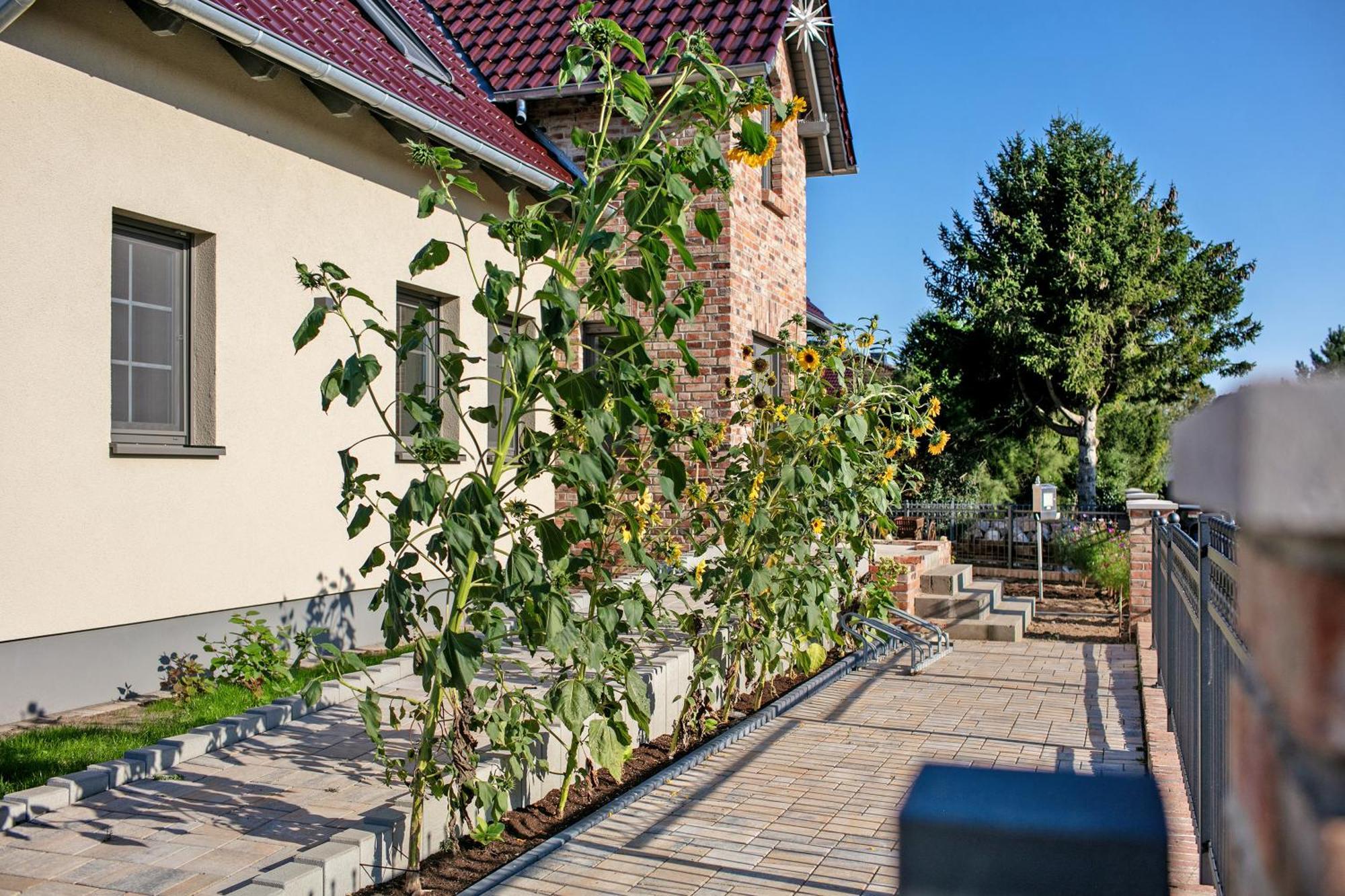 Ferienwohnungen Stolzenhagener 7 Lunow-Stolzenhagen Ngoại thất bức ảnh